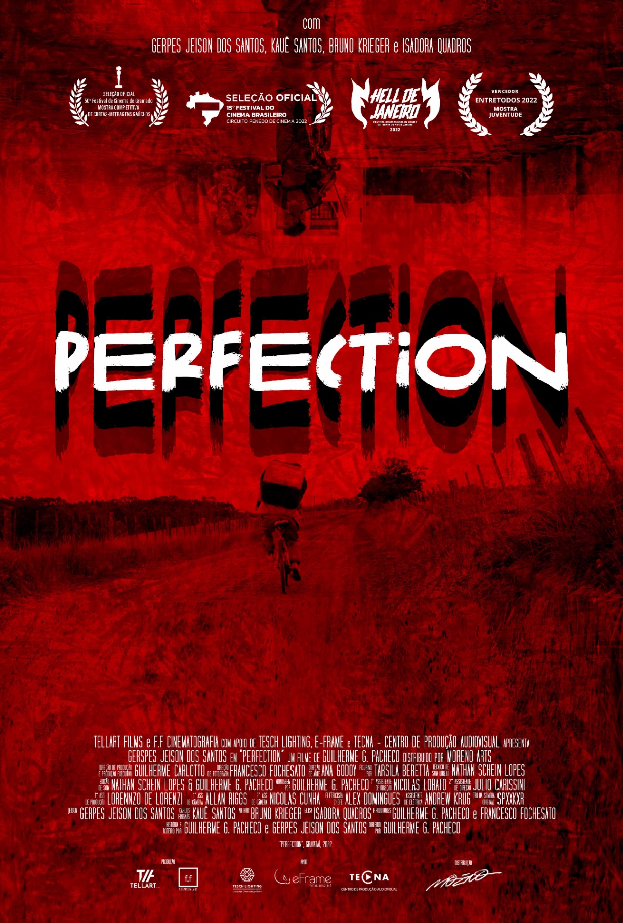 Cartaz de Perfection